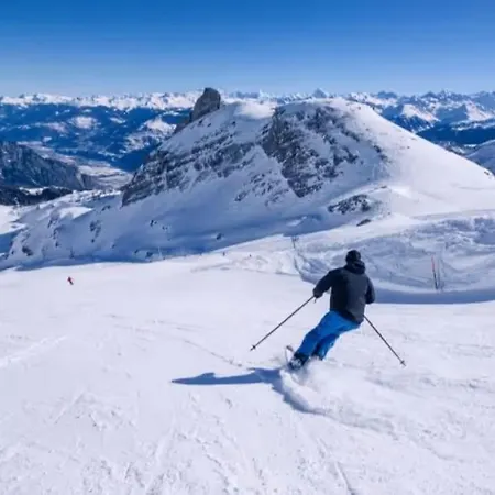 Alpin & Ovronnaz Avec Parking Leytron