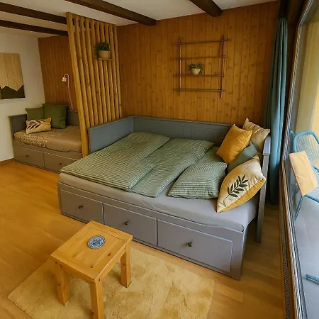 Alpin & Ovronnaz Avec Parking Apartment